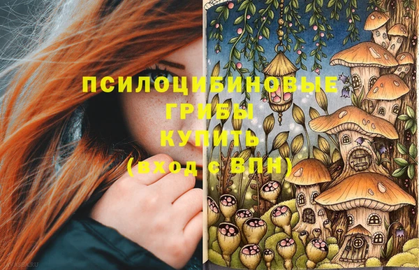 экстази Алексин