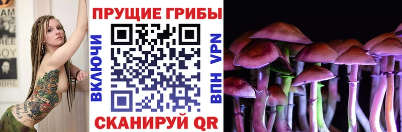 Галлюциногенные грибы Cubensis Орёл